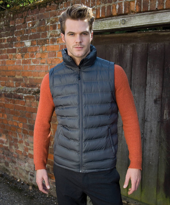 Laden Sie das Bild in den Galerie-Viewer, Ice bird padded gilet
