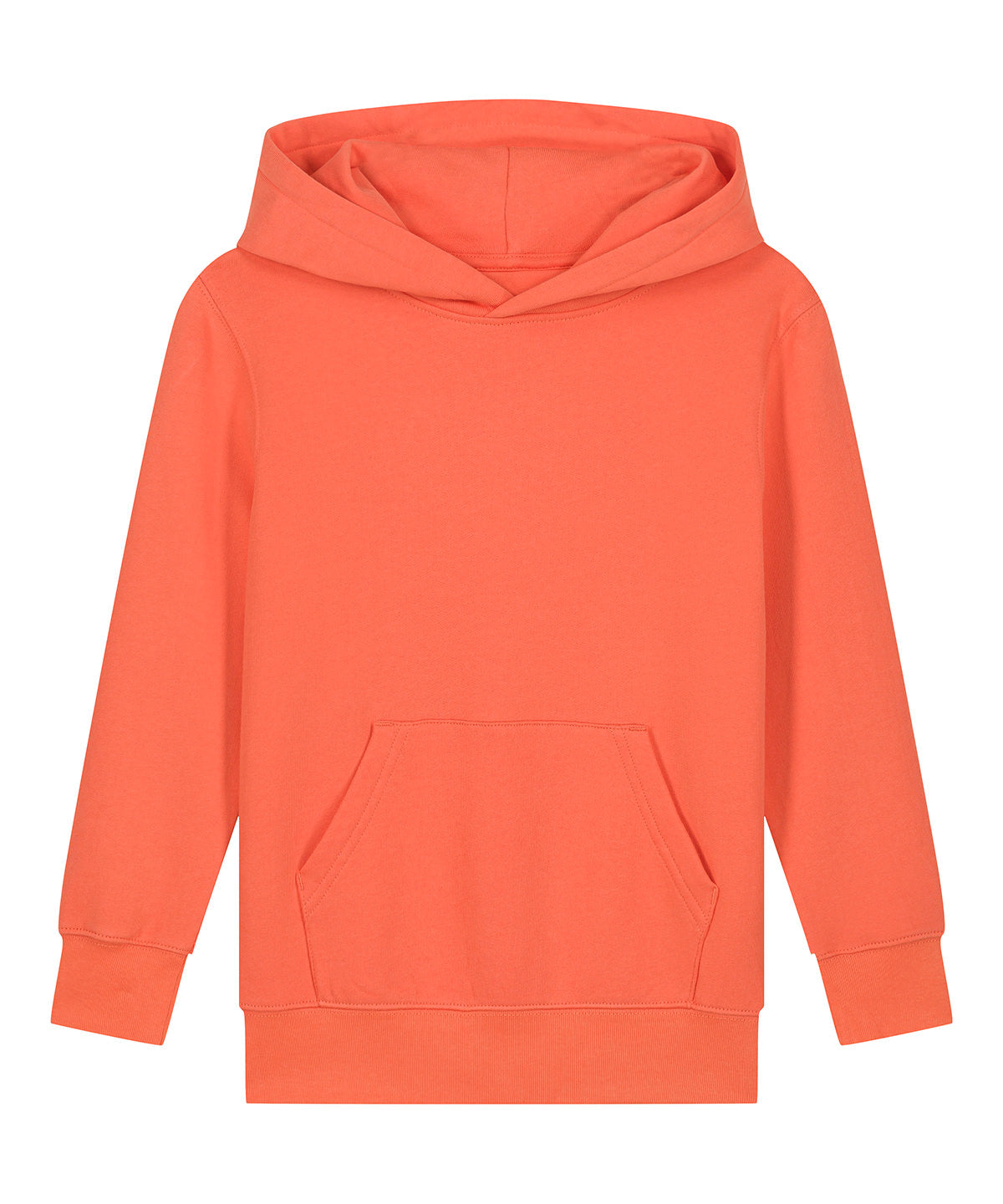 Kids Mini Cruiser 2.0 iconic hoodie sweatshirt (STSK180)