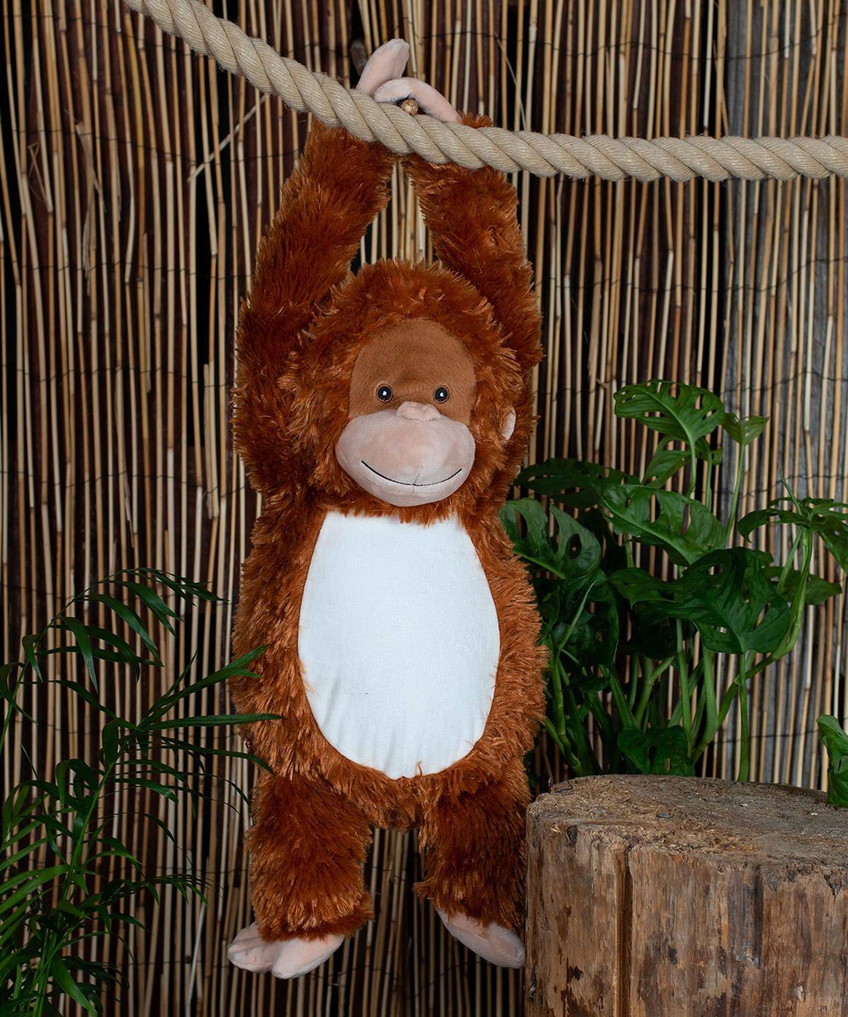 Orange - Zippie orangutan