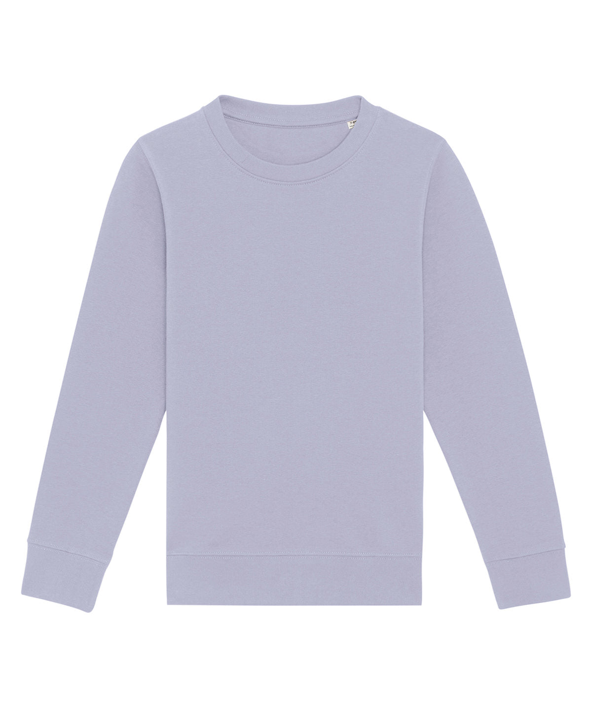 Kids mini Changer iconic crew neck sweatshirt (STSK913)